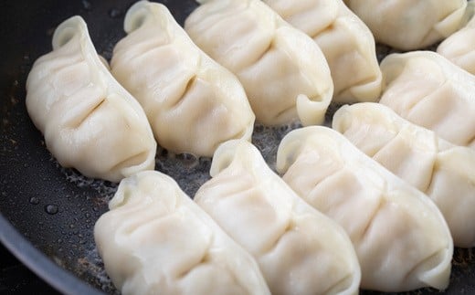 【髙島屋選定品】 頑固餃子セット　【04203-0357】