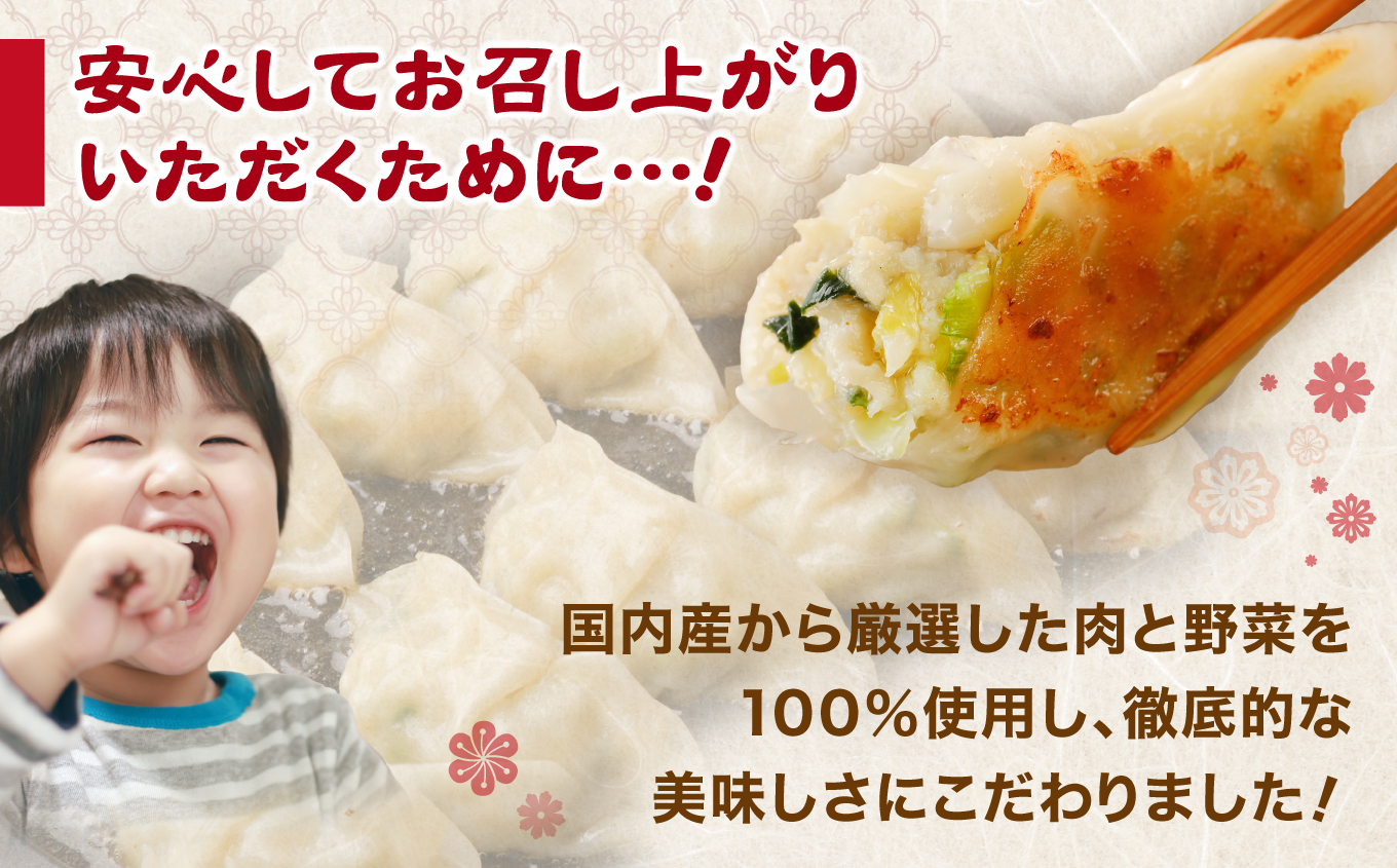 本格生餃子3種類詰め合わせ60個（12人前）　【04203-0561】