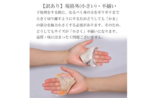 ◆ 訳あり ◆ 塩銀鮭かま 1kg (270g×4) 冷凍 小分け (年内発送 申込〆切12月25日)【 訳あり 規格外 不揃い 鮭 銀鮭 サーモン かま 魚介 海産物 海鮮 宮城県 塩竈市 三晃食品 】 SH00001