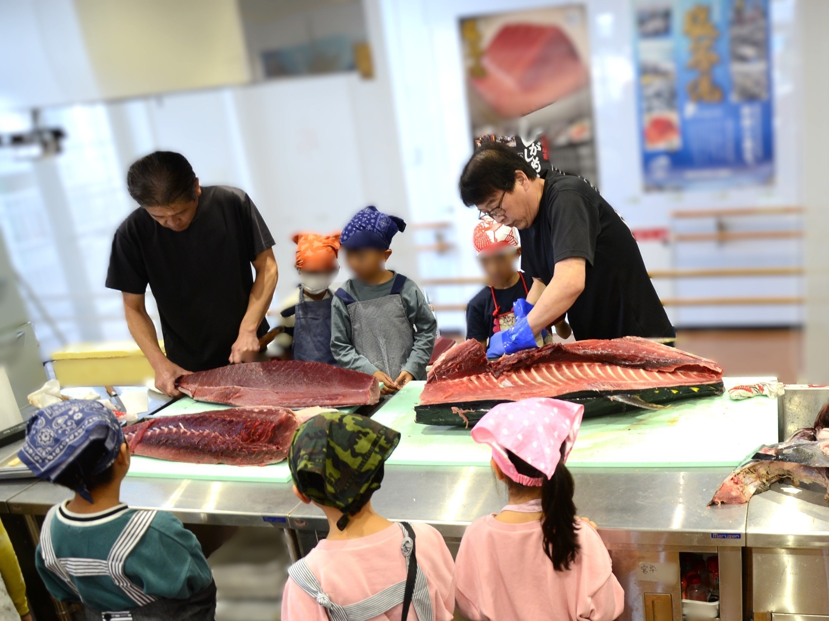 塩竈産マグロ解体体験！丸ごと1本食べつくそう！｜gt00001 塩竈市 塩釜 合同会社ツナらいふ