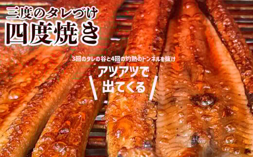 蒲焼き 穴子 国産 あなご 蒲焼 (きざみ) 10パック(80g×10) 冷凍 レンジでチン 時短 料理 宮城県 塩竈市 三晃食品 sh00004