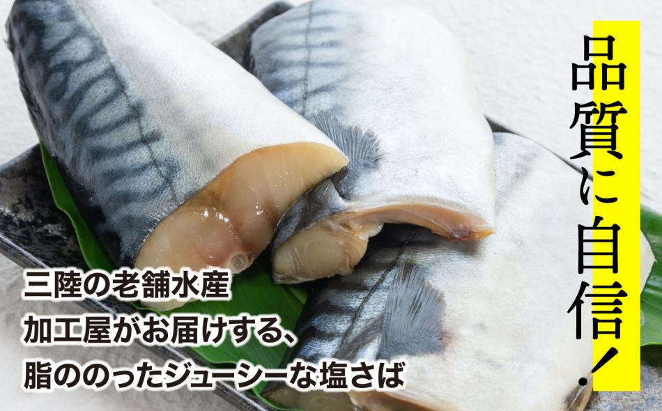 【訳あり】塩さば切身 深層海塩仕込み 1.3kg  | ym00013-1300 塩竈市 塩釜 ヤママサ 1.3kg