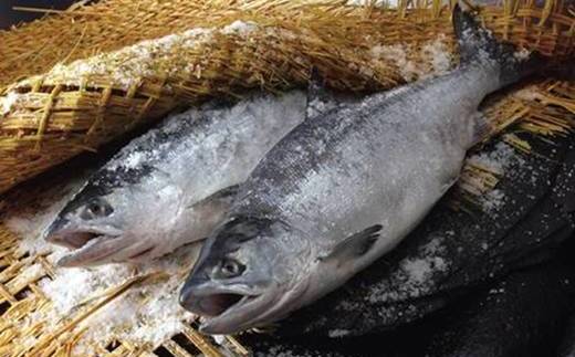 筵巻き山漬け　紅鮭１尾姿切身　技―ＬＬサイズ　【04203-0030】