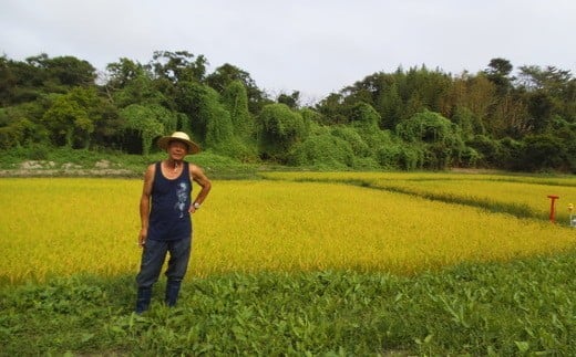 ［浦戸　寒風沢島］幻の寒風沢米（ササニシキ玄米１０ｋｇ）　【04203-0201】