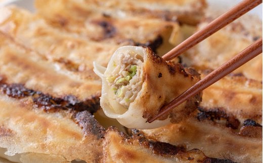 【髙島屋選定品】 頑固餃子セット　【04203-0357】