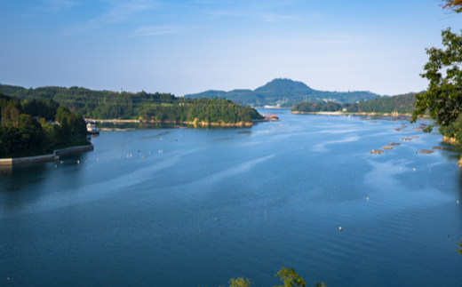 ふかひれ姿煮（胸ビレ）　200g（ヒレ50g前後）　【04203-0568】