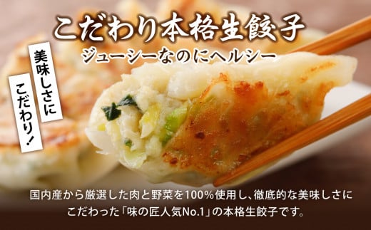 本格生餃子3種類詰め合わせ60個（12人前）　【04203-0561】