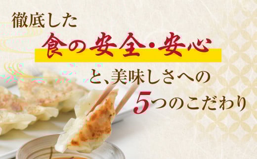 こだわり本格 生餃子 600個（約120人前） th00021-61000 80個