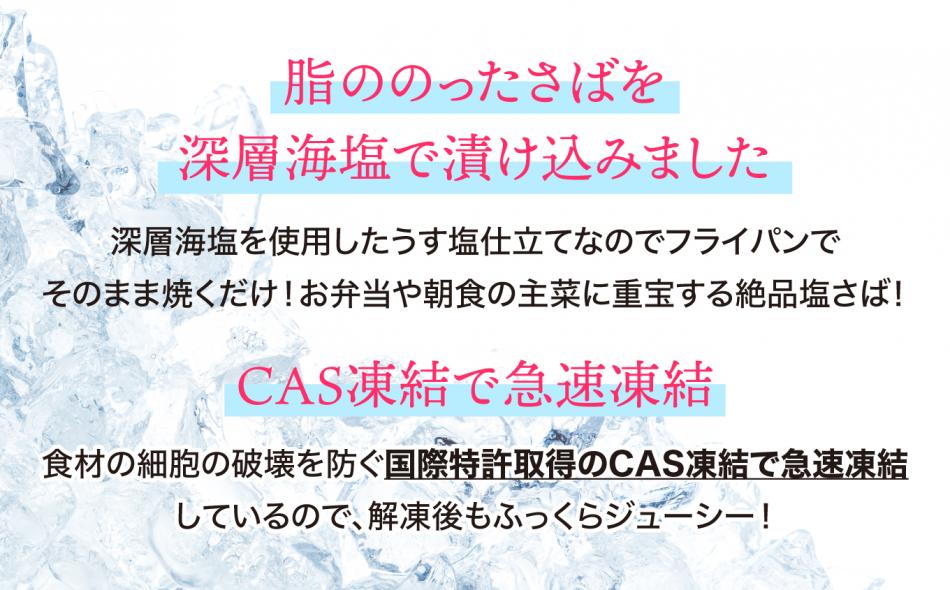 【訳あり】塩さば切身 深層海塩仕込み 500g  | ym00013-500 サバ さば 切り身 鯖 海塩 塩竈市 ヤママサ 500g