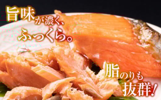 鮭 切り落とし 天然 紅鮭 骨なし 訳あり 規格外 不揃い 甘口 2.2kg 冷凍 ｜ さけ サーモン 紅サケ サケ しゃけ シャケ 切り落し 切落し 塩竈 塩釜産 藻塩 仕込み 宮城県 塩竈市 わけあり 訳アリ 切り身 魚 海鮮 家庭用 おかず 規格外 不揃い yt00002 2.2㎏