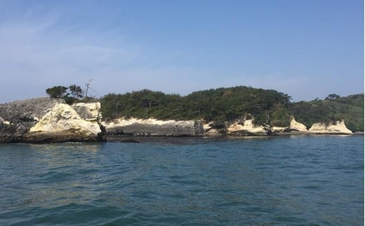 浦戸諸島・桂島　海の幸堪能宿泊プラン（グループ４名様）　【04203-0165】