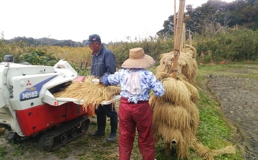 ［浦戸　寒風沢島］幻の寒風沢米（ササニシキ玄米１０ｋｇ）　【04203-0201】