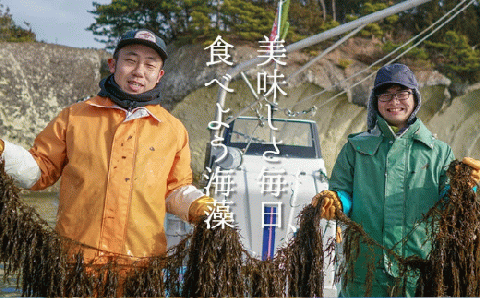 松島湾産 湯通し 冷凍 わかめ 一口カット 500g×2個　【04203-0705】