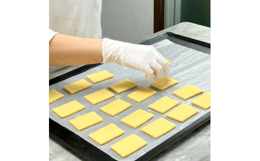 土井精菓 レーズンサンド 5個 スイーツ デザート 菓子 おかし レーズン レーズンサンド パイ 甘い 塩竈市 宮城県 送料無料 ds00004