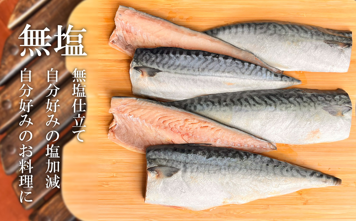 三陸産 金華さば 半身フィレ 6枚(840g) 無塩 冷凍 バラ凍結 ブランド 国産 宮城県産 金華山沖 三陸沖 金華さば さば 鯖 サバ 魚介 大容量 焼き魚 煮魚 味噌煮 お弁当 おかず おつまみ 宮城県 塩竈市 三波食品