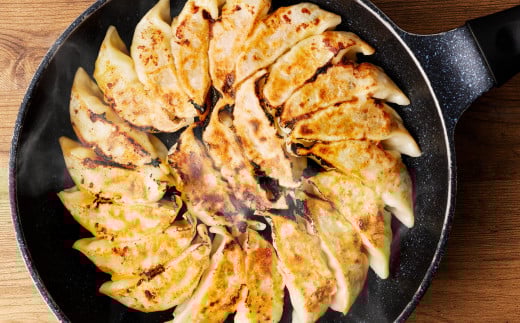 はちやの餃子 ≪60個入り≫ こだわり 本格 生餃子 選べる容量  1週間程度で発送 冷凍餃子  5037884