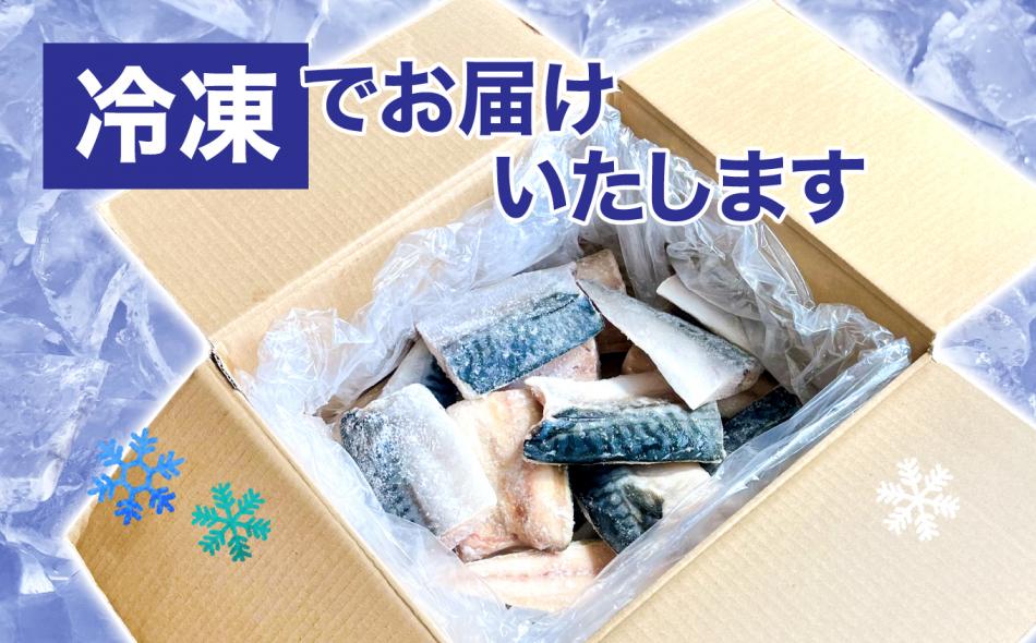 【訳あり】塩さば切身 深層海塩仕込み 1kg | ym00013-1000 塩竈市 塩釜 ヤママサ 1kg