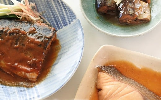 ＜手づくり＞ことこと煮魚セットB【ナチュラル・キッチン・たらや】　【04203-0190】