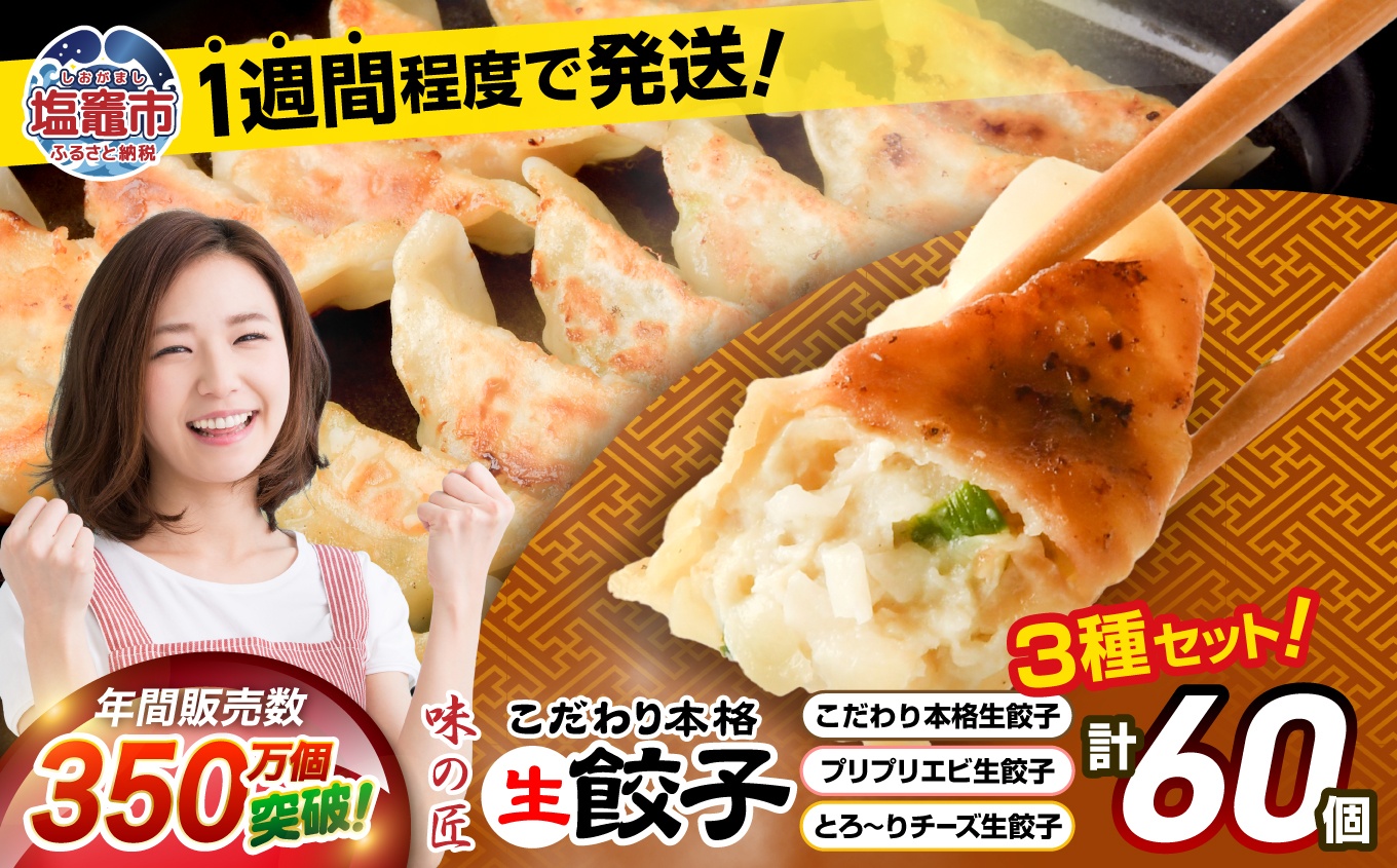 本格生餃子3種類詰め合わせ60個（12人前）　【04203-0561】