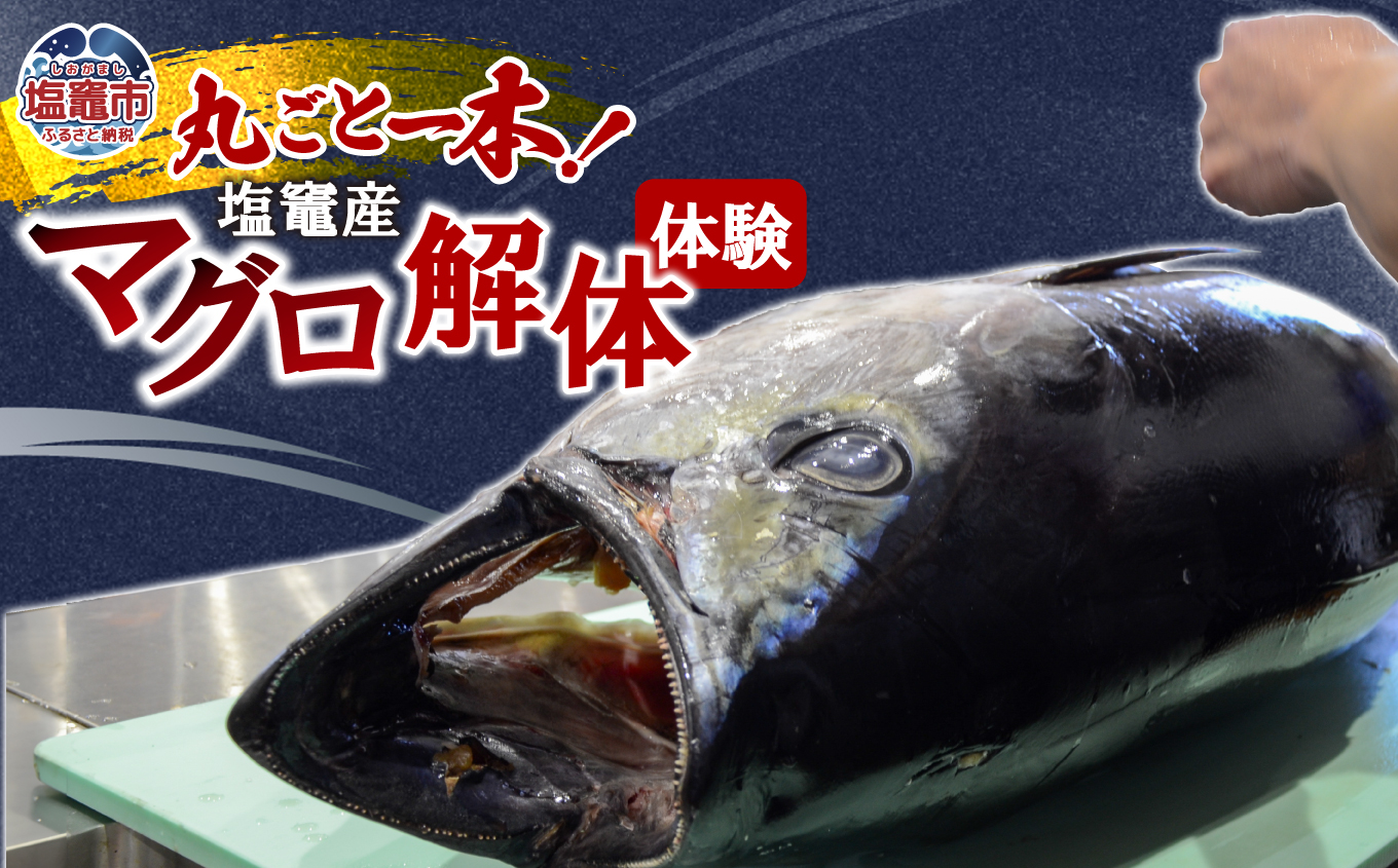 塩竈産マグロ解体体験！丸ごと1本食べつくそう！｜gt00001 塩竈市 塩釜 合同会社ツナらいふ