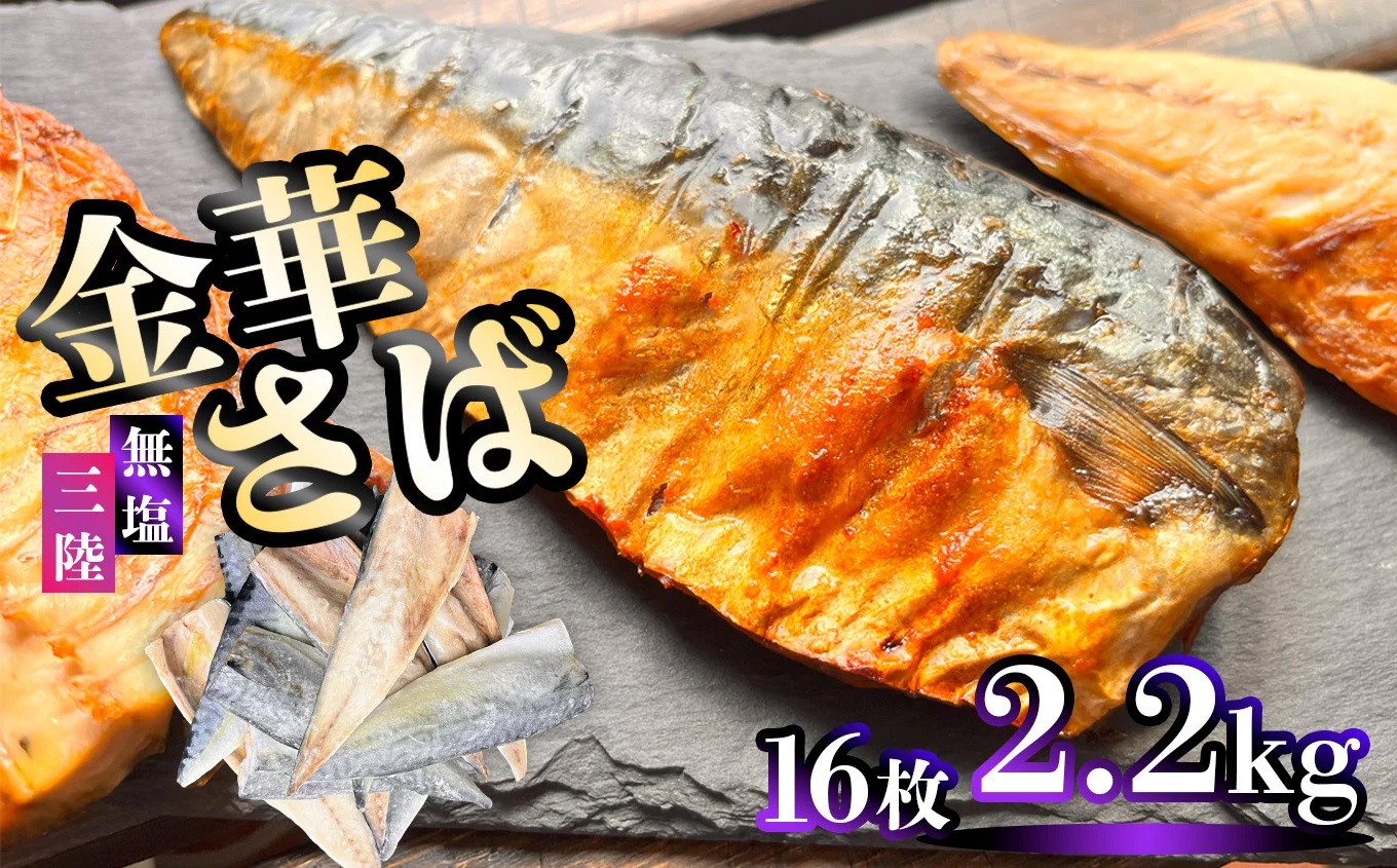 三陸産 金華さば 半身フィレ 16枚(2.2kg) 無塩 冷凍 バラ凍結 ブランド 国産 宮城県産 金華山沖 三陸沖 金華さば さば 鯖 サバ 魚介 大容量 焼き魚 煮魚 味噌煮 お弁当 おかず おつまみ 宮城県 塩竈市 三波食品