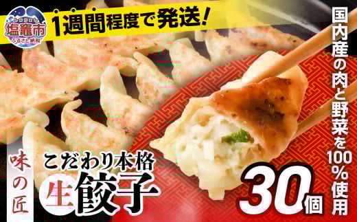 こだわり本格 生餃子 30個(6人前) th00006-6000 30個