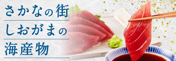 さかなの街しおがまの海産物