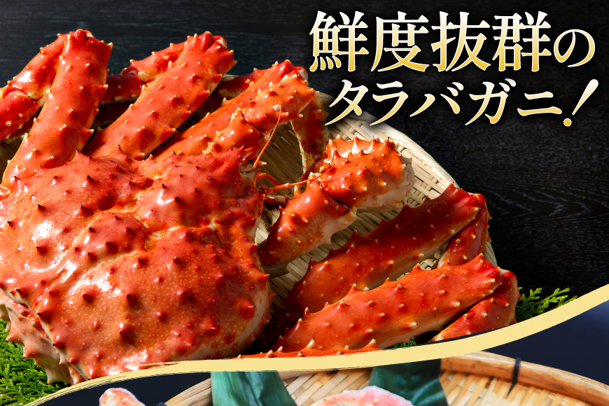 本 タラバガニ 脚 スリット入 約1.3kg 極太6Lサイズ ボイル済 [カネダイ 宮城県 気仙沼市 20564363] カニ かに 蟹 たらばがに たらば蟹 タラバ蟹 たらば タラバ ボイル 脚肉 スリット 訳あり