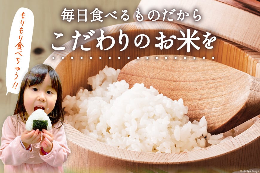 米 宮城県産 ひとめぼれ 10kg (5kg×2袋) [気仙沼米穀商業協同組合 宮城県 気仙沼市 20565763] 一等米 ブランド米 白米 精米 ご飯 ごはん コメ こめ お米 小分け 家庭用