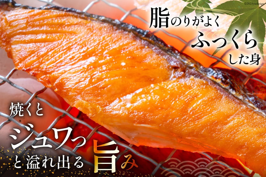 訳あり 銀鮭 切身 約2kg [宮城東洋 宮城県 気仙沼市 20564991] 鮭 魚介類 海鮮 訳アリ 規格外 不揃い さけ サケ 鮭切身 シャケ 切り身 冷凍 家庭用 おかず 弁当 支援 サーモン 銀鮭切り身 魚 わけあり 2kg
