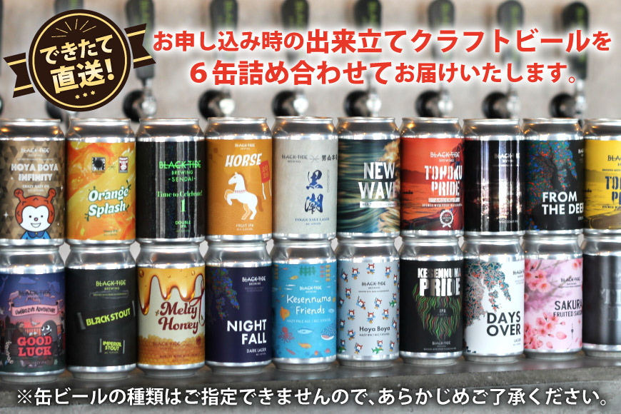 【できたて直送！】 BTB クラフトビール 6缶 セット [BLACK TIDE BREWING 宮城県 気仙沼市 20565980] 酒 ビール びーる 飲み比べ クラフト お酒 地ビール