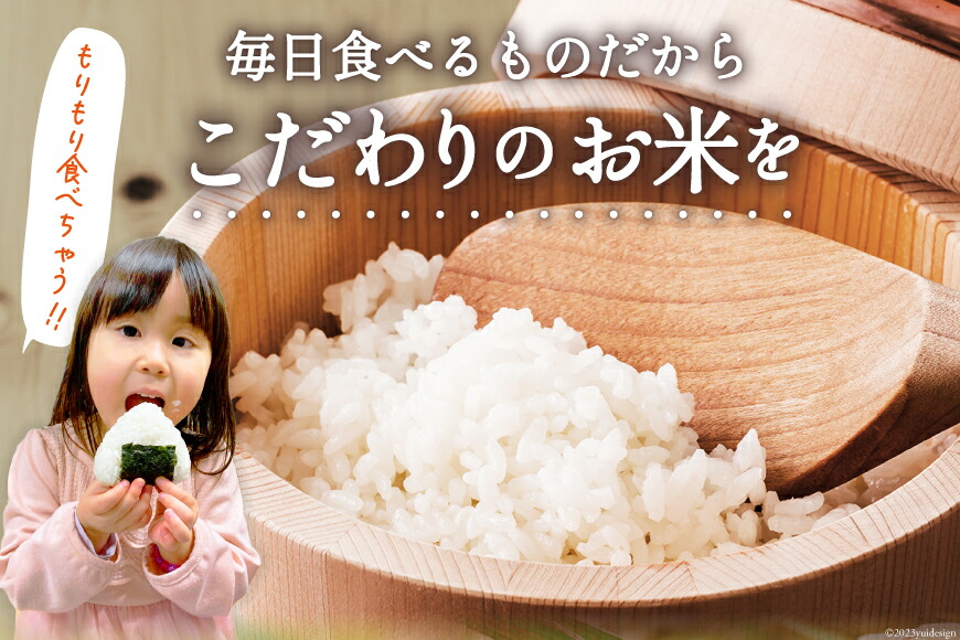 米 宮城県産 だて正夢 5kg [気仙沼米穀商業協同組合 宮城県 気仙沼市 20565768] 一等米 ブランド米 白米 精米 ご飯 ごはん コメ こめ 小分け 家庭用