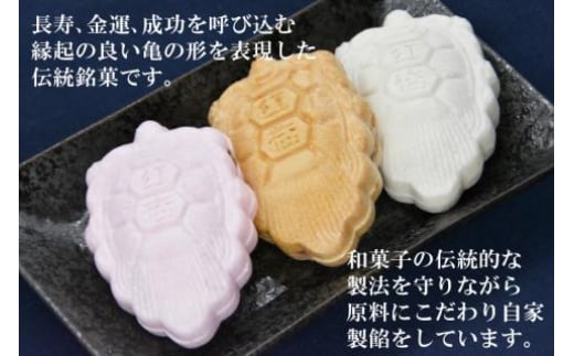 【形も可愛い】招福 亀の子もなか（3種）計18個 [菓匠 紅梅 宮城県 気仙沼市 20563527]