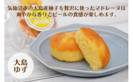【和菓子職人が作る】気仙沼マドレーヌ 2種10個 [菓匠 紅梅 宮城県 気仙沼市 20563591] 菓子 お菓子 おやつ マドレーヌ ゆず 小分け 常温