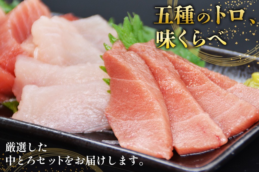 北かつのマグロ 中トロセット [北かつ商事 宮城県 気仙沼市 20563599] 魚 刺身 柵 鮪 まぐろ マグロ 本マグロ 南マグロ 中トロ メカジキ メバチ めばち ビンチョウ 冷凍 魚介類 魚介 新鮮 高級