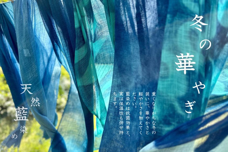 天然インディゴで染めたボタニカルストール（基準色） [インディゴ気仙沼 宮城県 気仙沼市 20563629] 綿 暖か レディース メンズ 男女兼用 ユニセックス