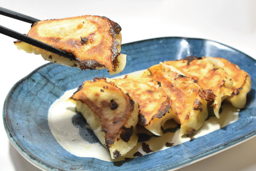 餃子 手づくり 特製餃子(20個入りx2p) [食工房貞秀 宮城県 気仙沼市 20563773] 冷凍 惣菜 ギョウザ