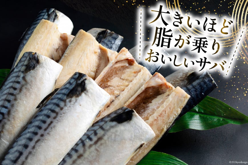 訳あり 塩サバ フィレ 3kg [足利本店 宮城県 気仙沼市 20564146] 魚介類 魚 海鮮 大容量 サバ さば 鯖 サバフィレ サバフィーレ 鯖フィレ トロサバ 訳アリ 訳あり わけあり 切り身 冷凍