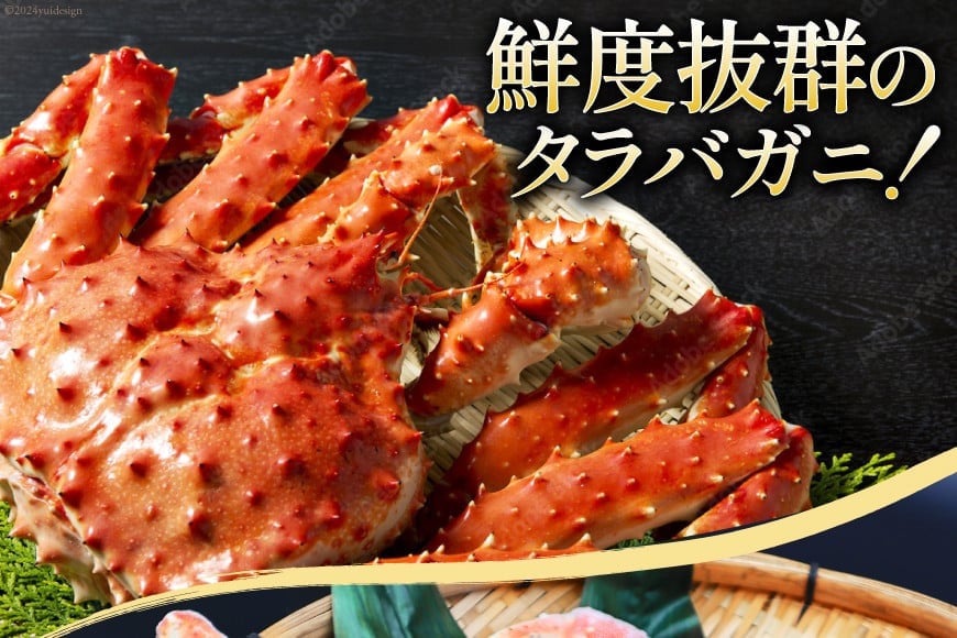 【2025 年内配送】 本 タラバガニ 脚 スリット入 約1.3kg 極太6Lサイズ ボイル済 [カネダイ 宮城県 気仙沼市 20564363]