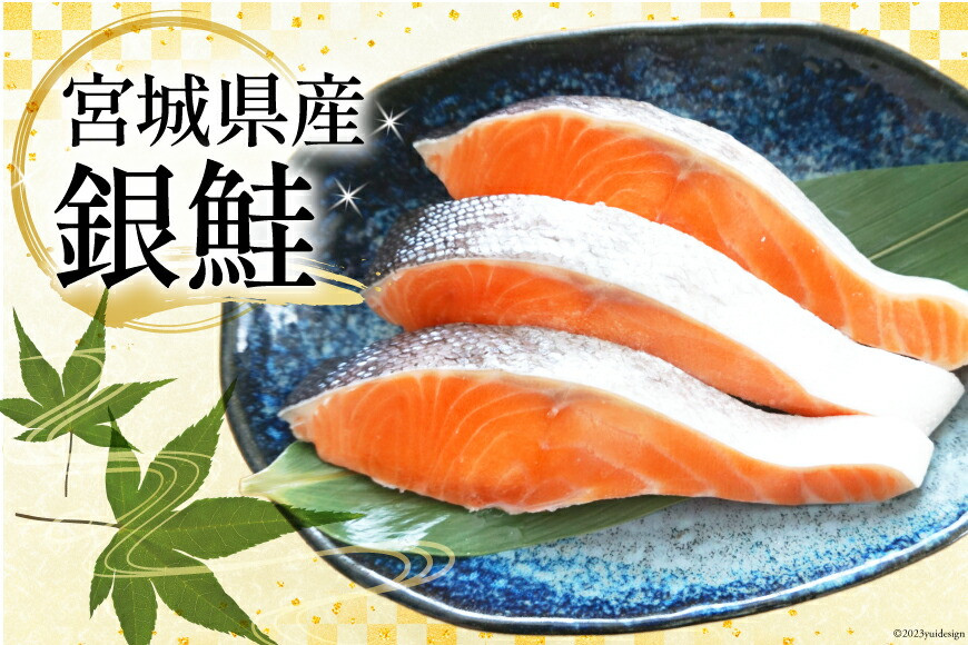 定期便 《6ヶ月連続お届け》 訳あり 宮城県産 熟成 銀鮭 切身 約2kg×6回 計12kg [宮城東洋 宮城県 気仙沼市 20564499] 定期便6回（2kg×6回）