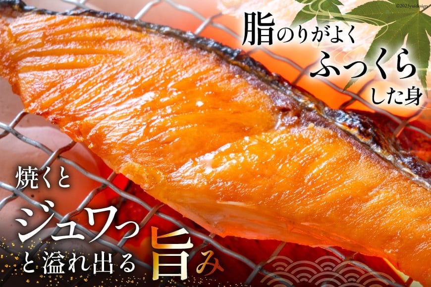 訳あり 銀鮭 切身 約1kg [宮城東洋 宮城県 気仙沼市 20564663] 鮭 海鮮 規格外 不揃い さけ サケ 鮭切身 シャケ 切り身 冷凍 家庭用 訳アリ おかず 弁当 支援 サーモン 銀鮭切り身 魚 わけあり