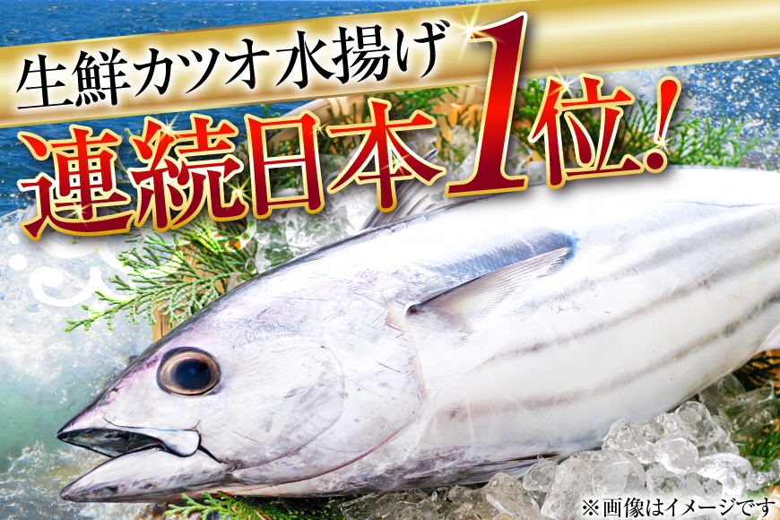 鰹 かつおたたき 1kg [熊栄産業 宮城県 気仙沼市 20565060] 魚介類 魚介 海鮮 魚 さかな 真空パック 鰹 カツオ 鰹たたき たたき 冷凍 個包装 刺し身 刺身 丼 丼 海鮮