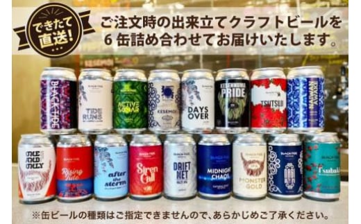 6回 定期便 BTB クラフトビール 6缶 セット【総計36缶】 [BLACK TIDE BREWING 宮城県 気仙沼市 20565556] 酒 ビール びーる 飲み比べ クラフト お酒 地ビール