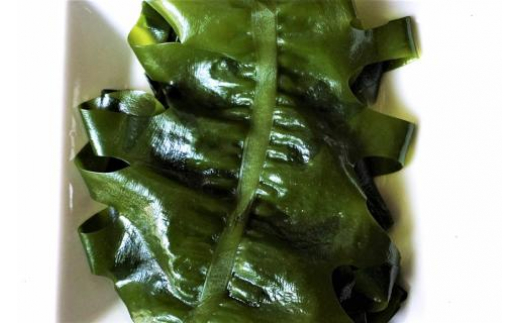 【2つの食感】 三陸産 サラダわかめ 170g ×3袋 [小野徳 宮城県 気仙沼市 20565558] 海藻 ワカメ わかめ 若布 塩蔵わかめ 塩蔵 コリコリ シャキシャキ 冷蔵