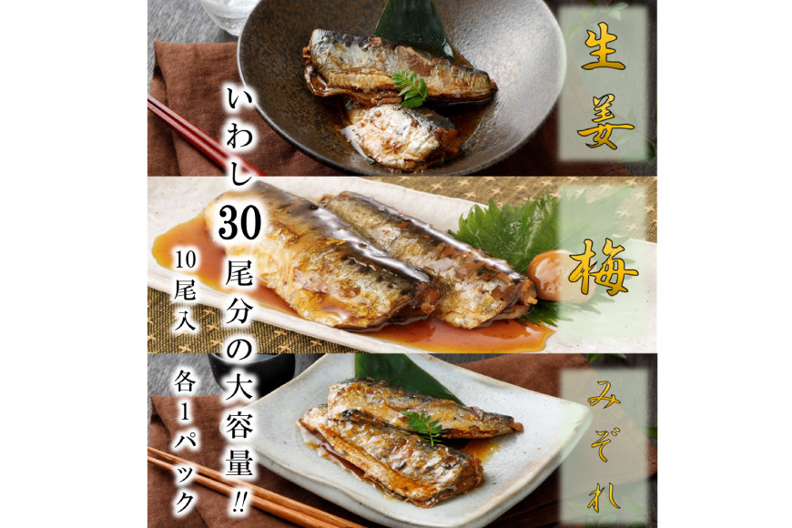 12回 定期便 訳あり 業務用 いわし煮魚 3種 ×10尾 計30尾入 約1.5kg ×12回 総重量 約18kg [カネダイ 宮城県 気仙沼市 20565565] 魚 魚介 煮魚 国産 生姜煮 梅肉煮 みぞれ煮 おかず 焼き魚 簡単 時短 訳アリ 冷凍
