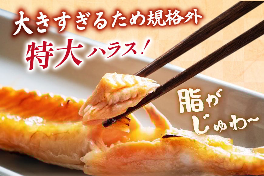 訳あり トロ サーモン ハラス フィーレ 刺身 無添加 2kg 個包装 [足利本店 宮城県 気仙沼市 20565619] 生食用 魚 魚介類 海鮮 さけ サケ シャケ 鮭 お刺し身 刺し身 はらす 鮭ハラス 骨取り 魚介 小分け 生食用 真空 真空パック