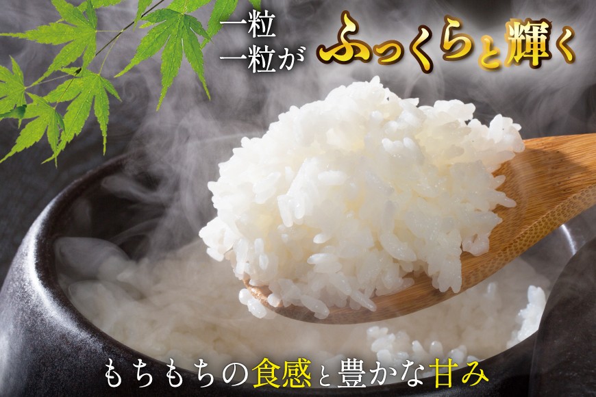 米 令和7年産 宮城県産 とまたんのひとめぼれ 5kg [サンフレッシュ小泉農園 宮城県 気仙沼市 20565646] 5㎏