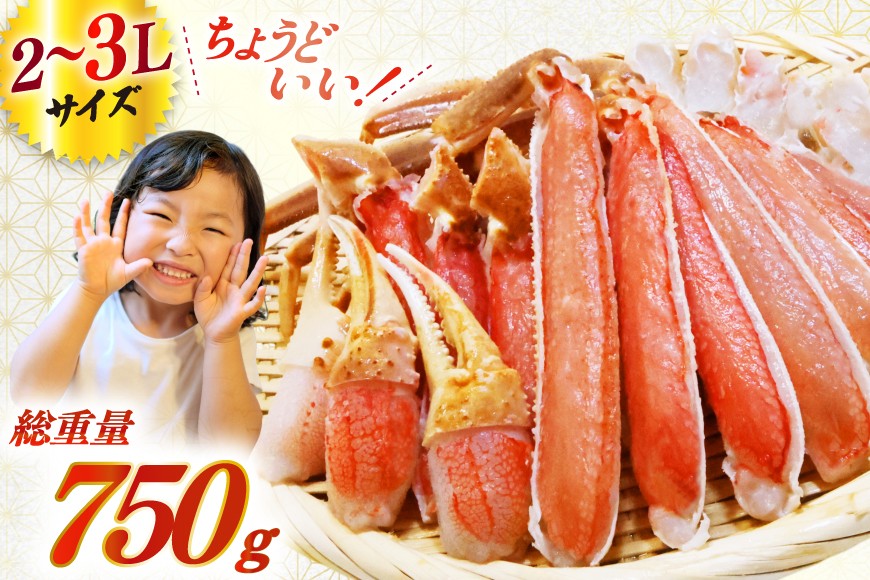 【2025 年内配送】 カット済 生 ずわいがに むき身 セット 総重量 750g (正味重量600g) 2-3Lサイズ [カネダイ 宮城県 気仙沼市 20565652] 750g