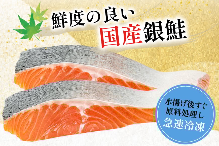 訳あり 国産 減塩 厚切り 塩銀鮭 切身 計 3kg [足利本店 宮城県 気仙沼市 20565950] サーモン 鮭 さけ サケ シャケ 魚 海鮮 魚介 甘塩味 規格外 不揃い 鮭切身 切り身 簡易包装 家庭用 訳アリ 冷凍 塩分控えめ 無添加