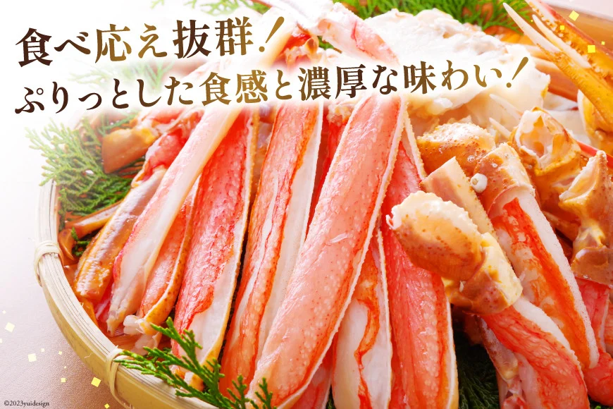 カット済ずわい かに むき身セット 総重量1.5kg(750g×2p) かにしゃぶ かに鍋 正味重量1.2kg [カネダイ 宮城県 気仙沼市 20564319]